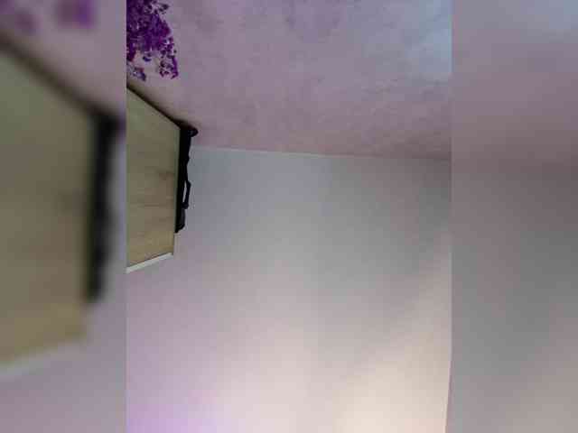 Mila-m webcam