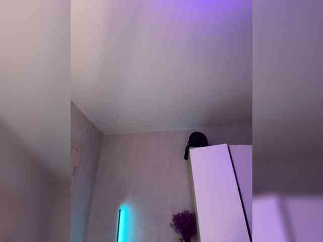 Mila-m webcam