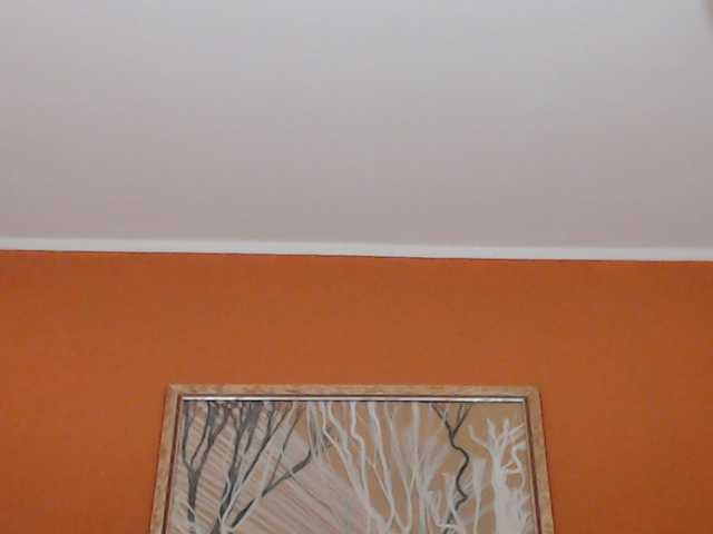Lora8888