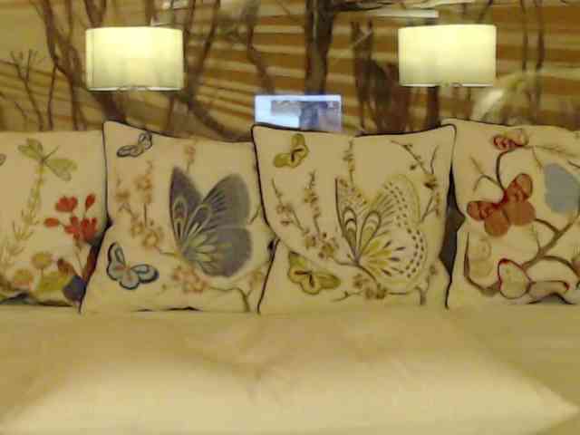 Модель: Lora8888