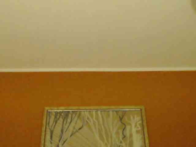 Lora8888 webcam