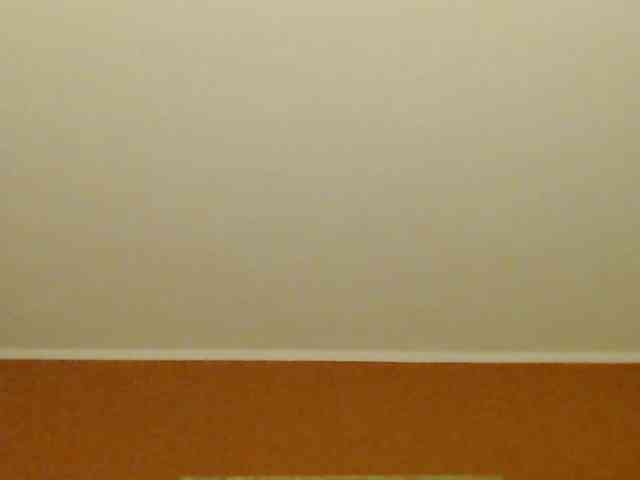 Lora8888 webcam