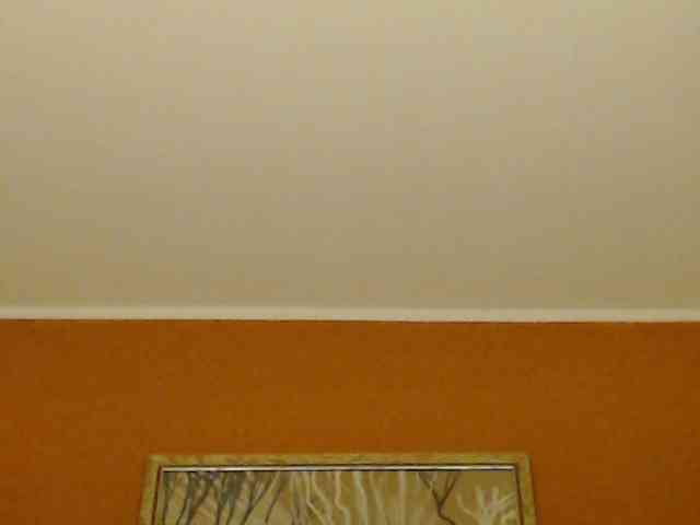Lora8888 webcam