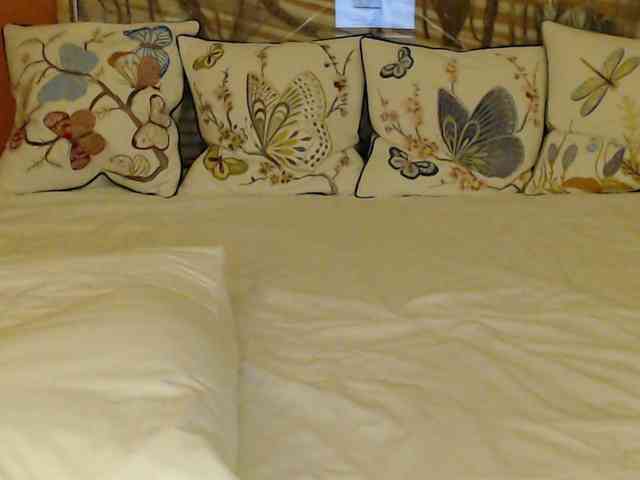 Lora8888 webcam