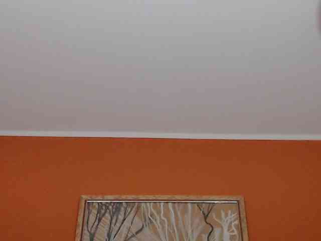Lora8888