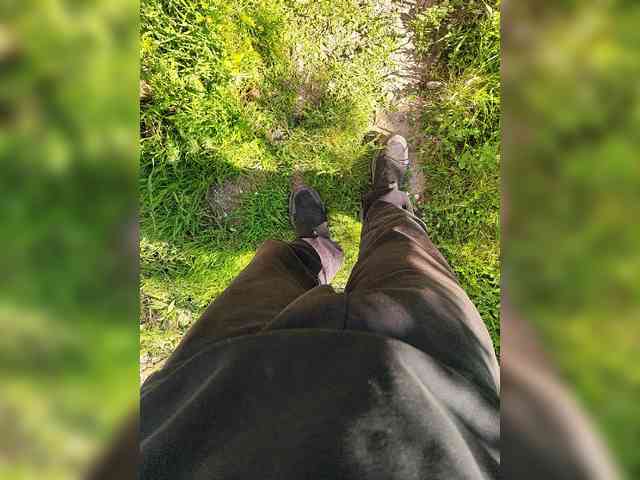 Sexmenaa