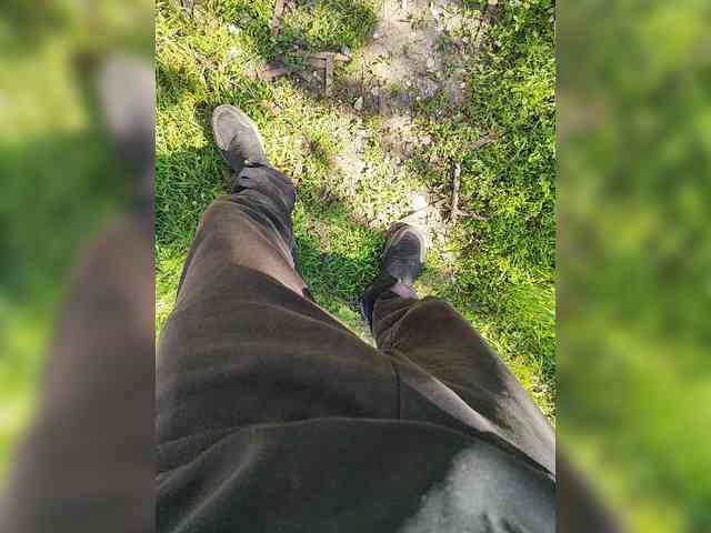 Sexmenaa