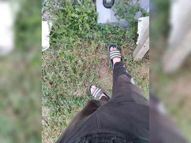 Sexmenaa Sexmenaa