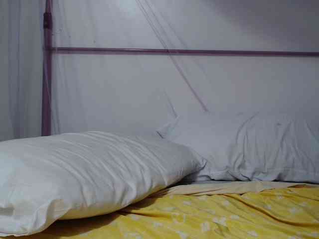 Zawadi95 webcam