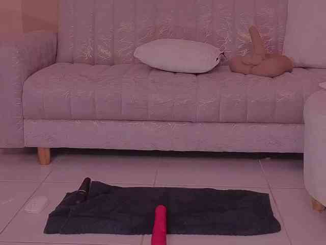 ToriCross webcam