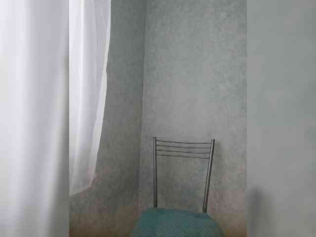 Модель: Kroshka-meow