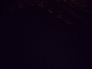 Sophie_Sonne