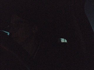 Sophie_Sonne
