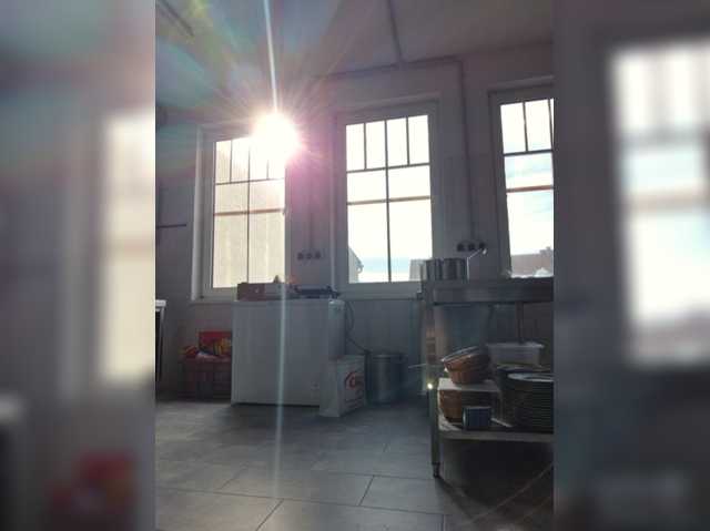 Sophie_Sonne