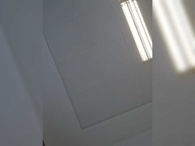 Preview of sophie_sonne