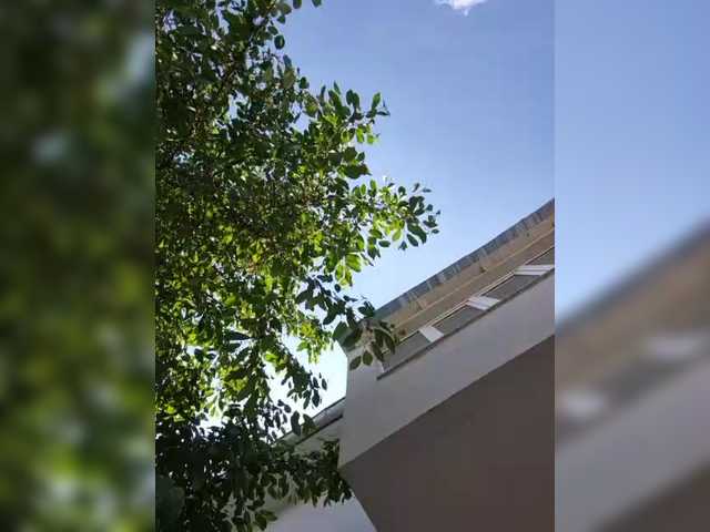 Sophie_Sonne