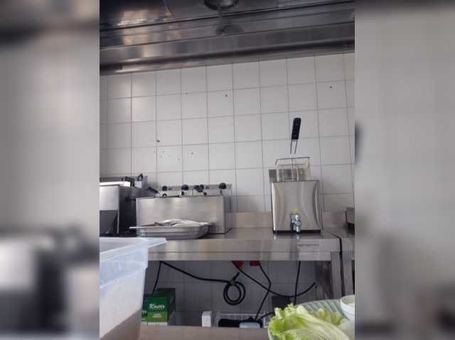 Sophie_Sonne