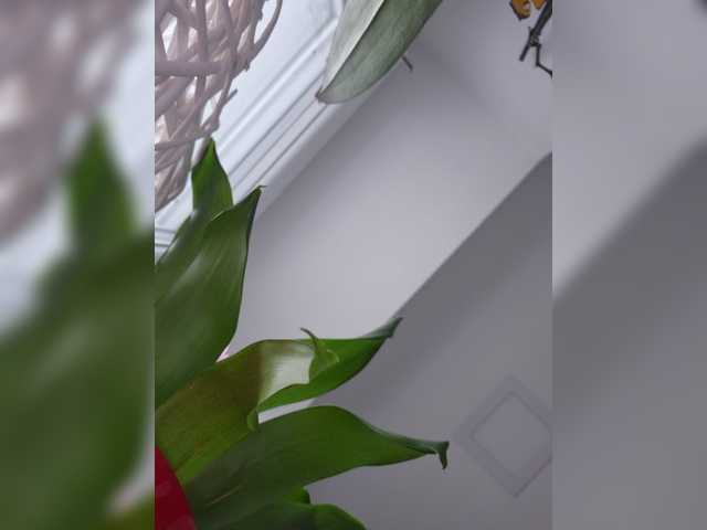 Sophie_Sonne