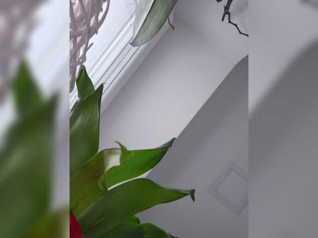 SophieMary live cam