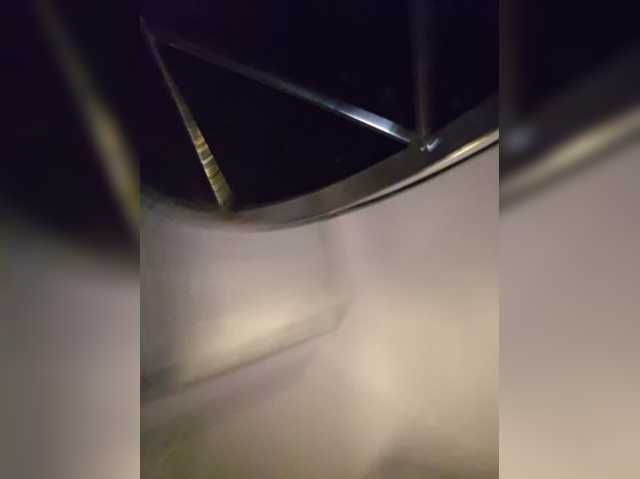 Sophie_Sonne