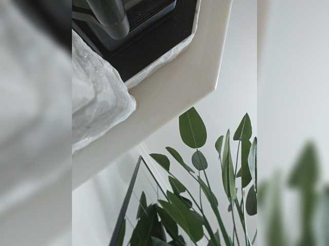 Preview of sophie_sonne