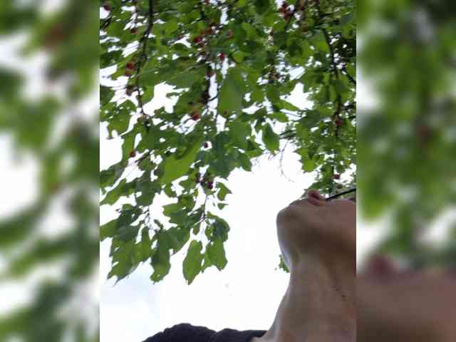 Sophie_Sonne
