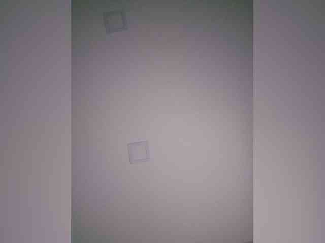 Sophie_Sonne