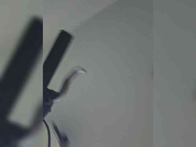 Sophie_Sonne webcam