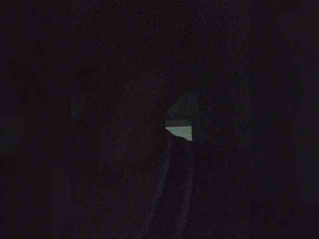 Sophie_Sonne