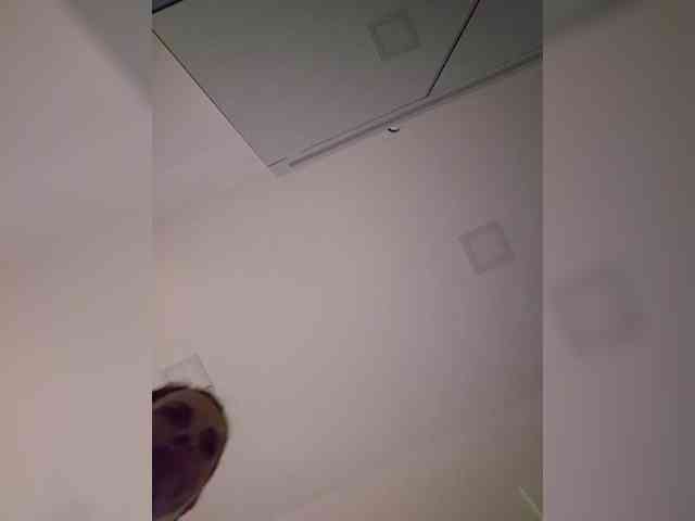 Sophie_Sonne