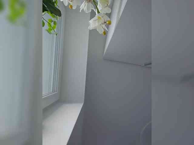 Sophie_Sonne webcam