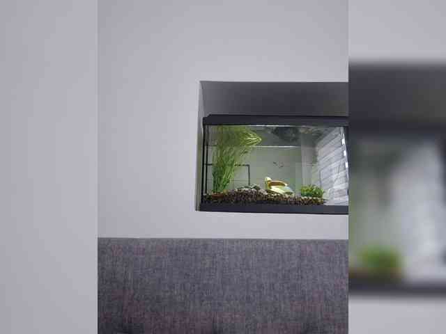 Sophie_Sonne webcam