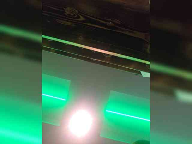 Sophie_Sonne