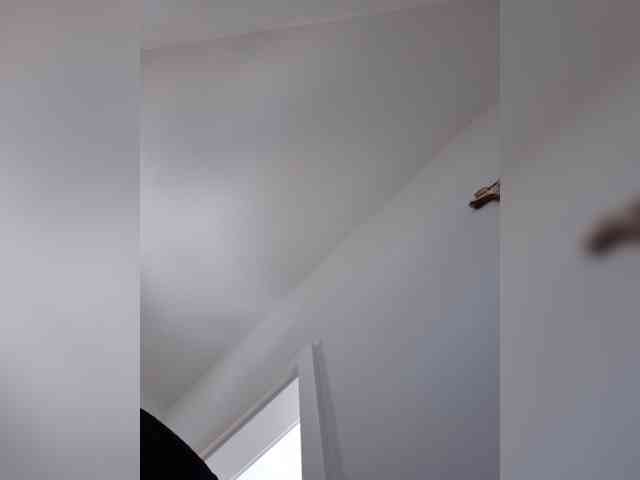 Sophie_Sonne webcam