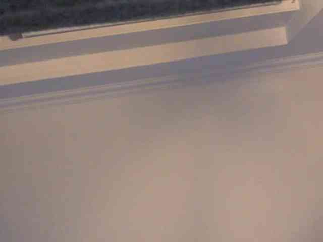 Sophie_Sonne