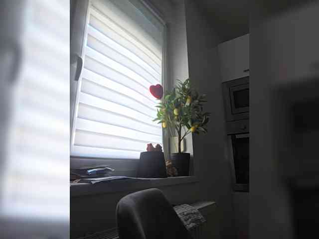 Sophie_Sonne webcam