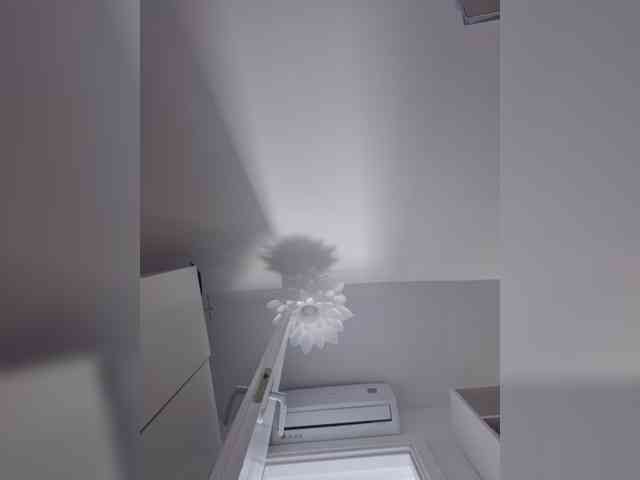 sophie_sonne's live room