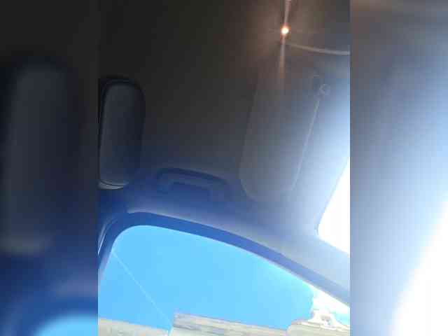 Sophie_Sonne