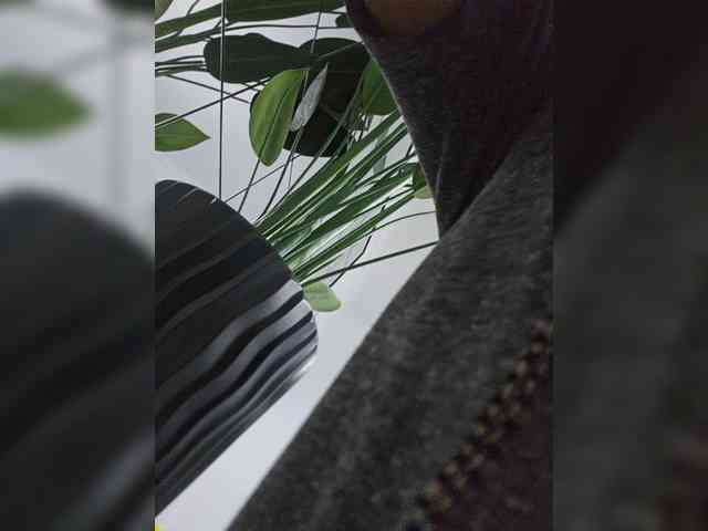 Sophie_Sonne webcam