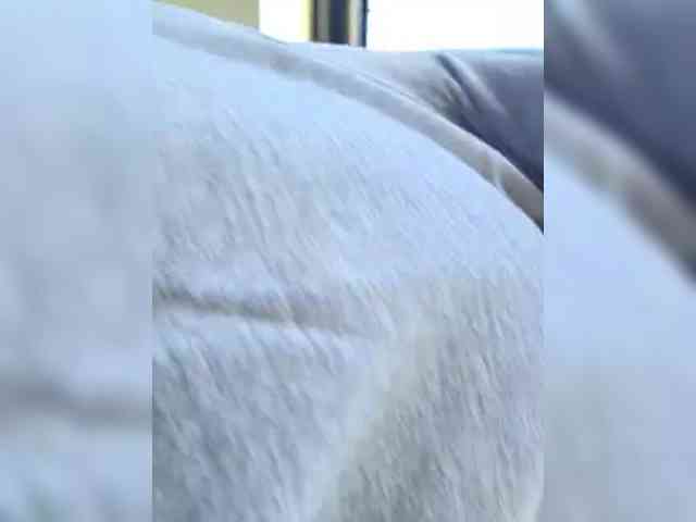 Sophie_Sonne webcam