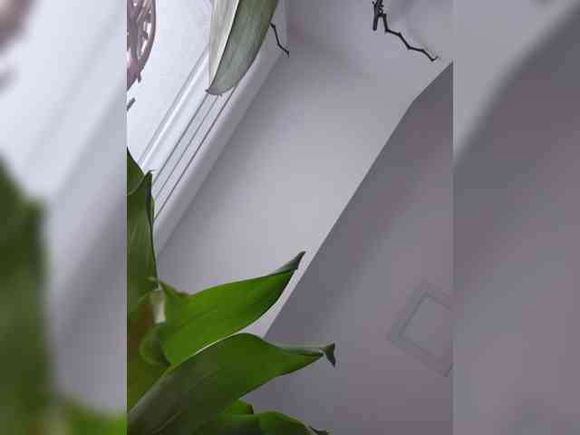 Sophie_Sonne webcam