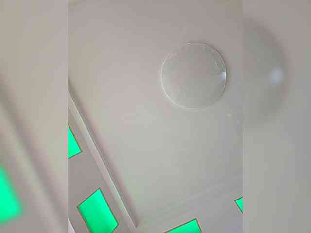 Sophie_Sonne