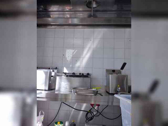 Sophie_Sonne