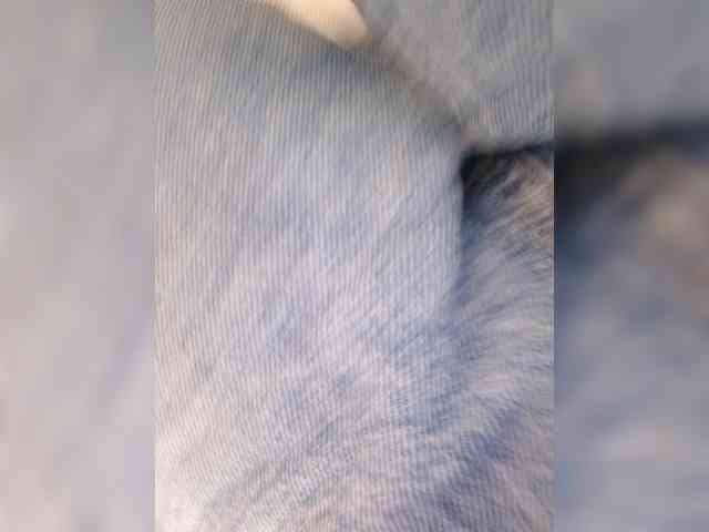 Sophie_Sonne webcam