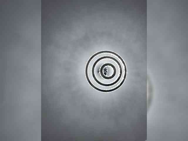Sophie_Sonne webcam