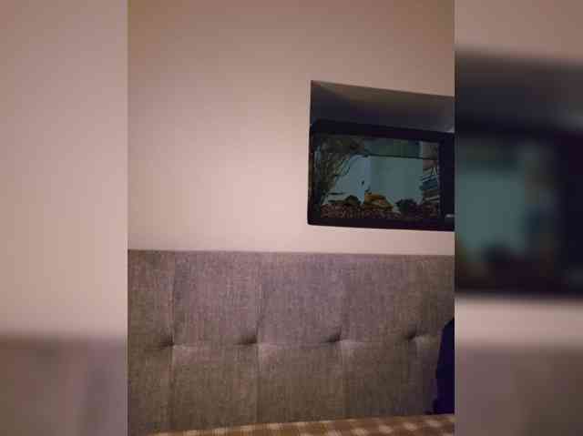 Sophie_Sonne webcam