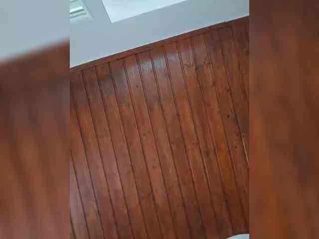 Sophie_Sonne webcam