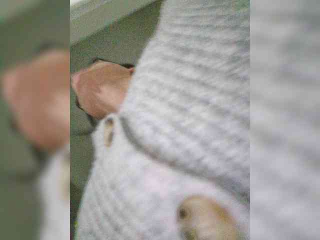 Sophie_Sonne webcam