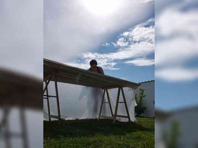 Sophie_Sonne webcam