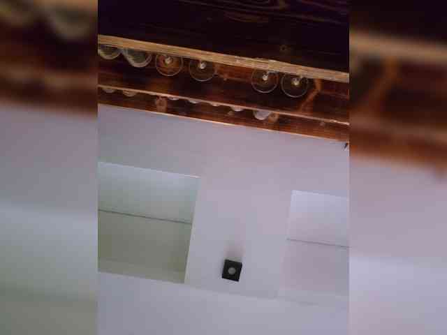 Sophie_Sonne webcam
